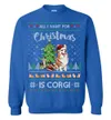 All I Want For Christmas Is Corgi Men's Ugly Sweater - variant image 1