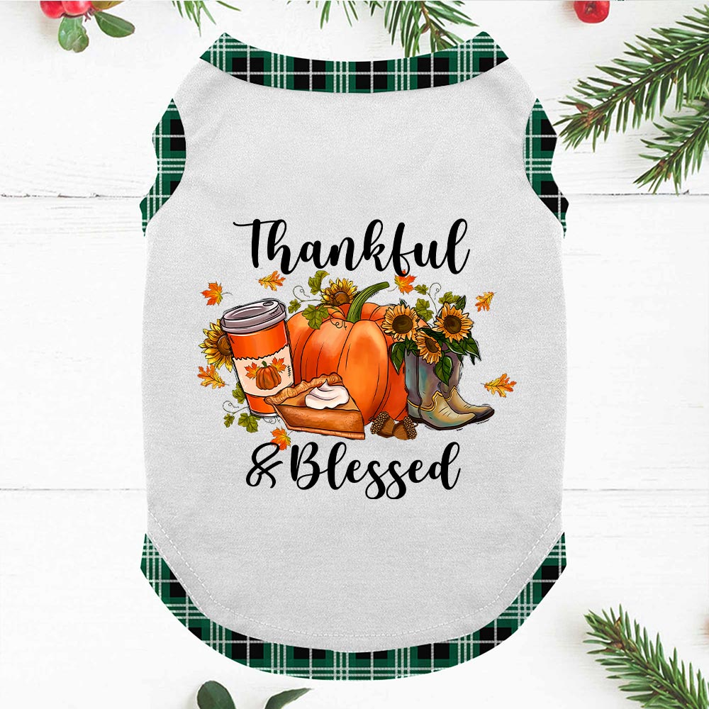 Pumpkin Thanksgiving Family Pjs Thankful And Blessed Green Plaid