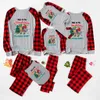 Santa Claus On The Dinosaur Cute Christmas Pajamas Gray